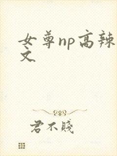 女尊np高辣h文