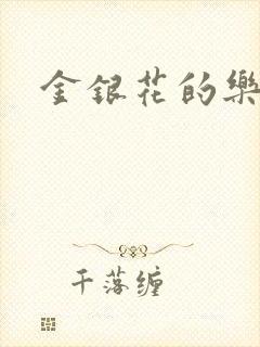 金银花的乐可封面