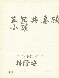 五兄共妻顾心儿小说