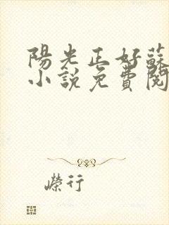 阳光正好苏玥玥小说免费阅读无弹窗