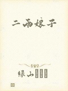 二两娘子封面