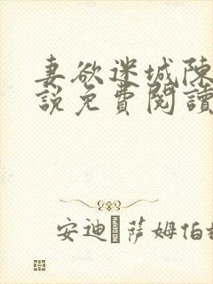 妻欲迷城陈静小说免费阅读无弹窗封面