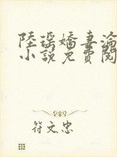 陆瑶娇妻沦陷的小说免费阅读