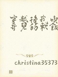 穿越后我吃到了哥儿的软饭炉山灰