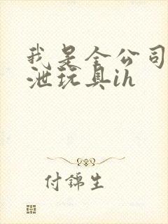 我是全公司的发泄玩具ih