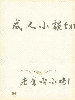 成人小说txt