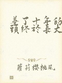 养了十年的小丫头终于长大了封面