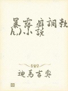 暴露癖调教(高h,)小说