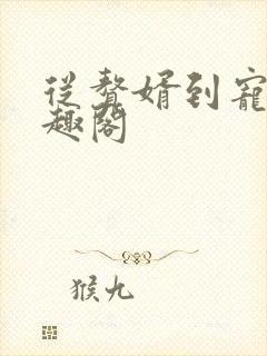 从赘婿到宠臣笔趣阁