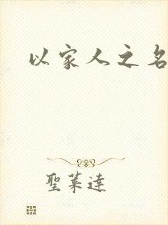 以家人之名小说