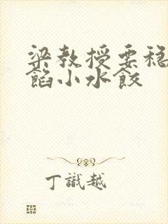 梁教授要稳住肉馅小水饺封面