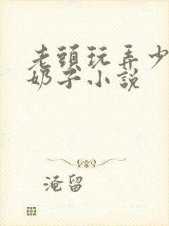 老头玩弄少妇的奶子小说