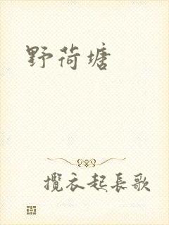 野荷塘封面