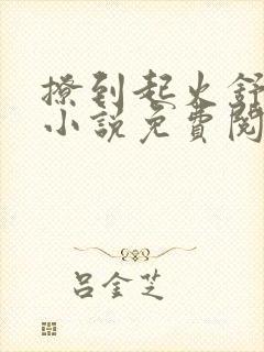 撩到起火舒漾的小说免费阅读全文