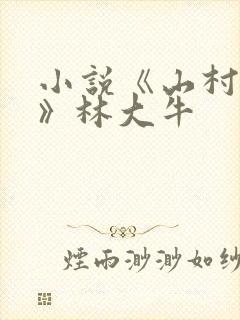 小说《山村情事》林大牛