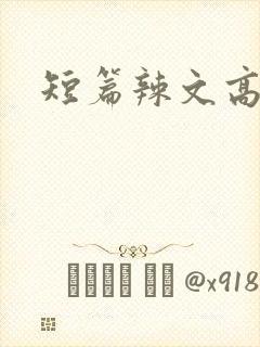 短篇辣文高h