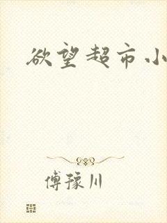 欲望超市小说