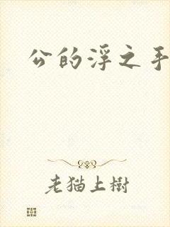 公的浮之手中字封面