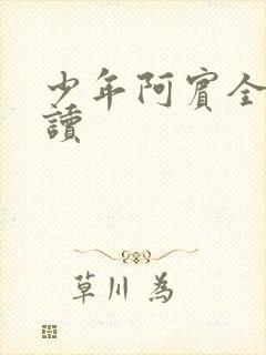 少年阿宾全集阅读