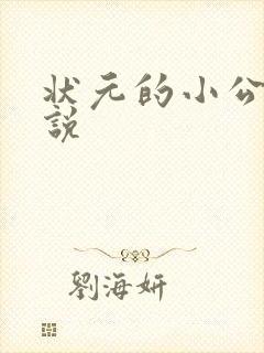 状元的小公主小说封面