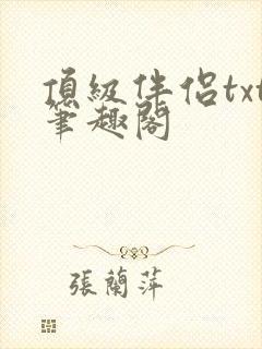 顶级伴侣txt笔趣阁