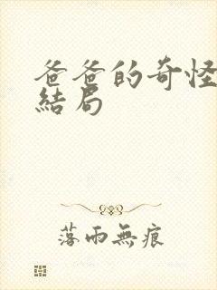 爸爸的奇怪书房结局封面