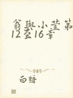 翁与小莹第十部12至16章