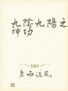 九阴九阳之阴阳神功