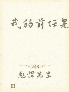 我的前任是极品