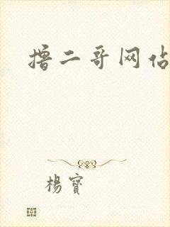 撸二哥网站封面