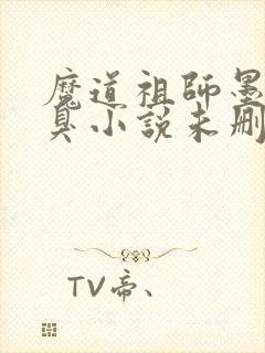 魔道祖师墨香铜臭小说未删版txt封面
