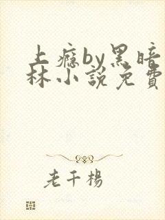 上瘾by黑暗森林小说免费