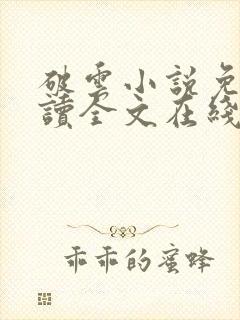 破云小说免费阅读全文在线封面