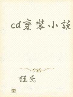 cd变装小说封面