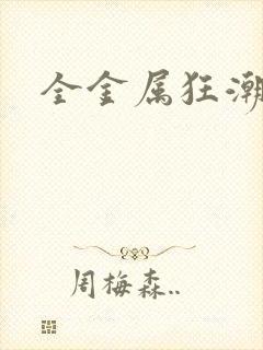 全金属狂潮小说