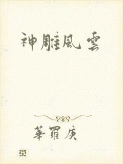 神雕风云