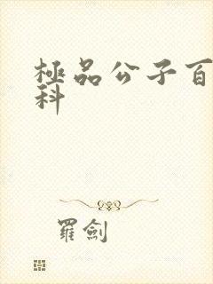 极品公子百度百科