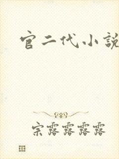 官二代小说封面