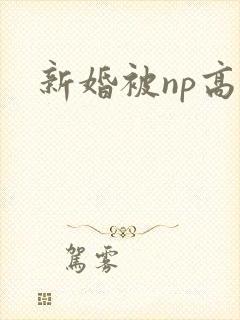 新婚被np高h封面