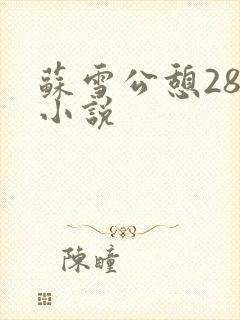 苏雪公憩28篇小说