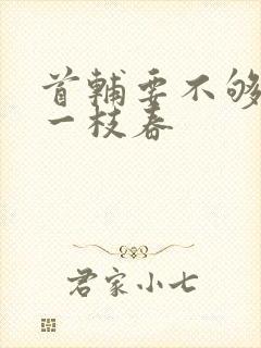 首辅要不够po一枝春封面