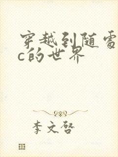 穿越到随处可以c的世界