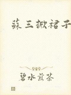 苏三掀裙子封面