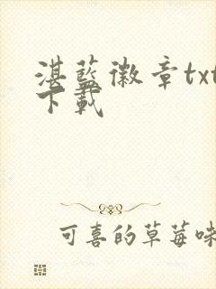 湛蓝徽章txt下载封面