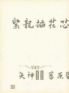 紫龙插花芯方正