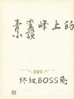 青鸾峰上的全部小说