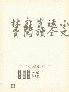 林毅肖远小说免费阅读全文最新章节