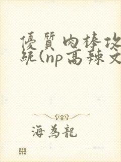 优质肉棒攻略系统(np高辣文)