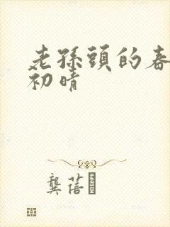 老孙头的春天林初晴封面