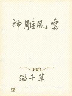 神雕风云